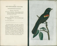 Shaw & Nodder — V Rare Vellum Birds Suite of Three Plates, Naturalist's Miscellany, c.1791-1799