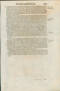 Aldrovandi — Five Pages of Celestial and Atmospheric Prodigies from the Monstrorum Historia, Bologna 1640 - Huge Military Significance - Lumenrare Antique Prints & Maps