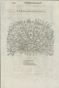 Aldrovandi — Five Pages of Celestial and Atmospheric Prodigies from the Monstrorum Historia, Bologna 1640 - Huge Military Significance - Lumenrare Antique Prints & Maps