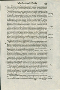Aldrovandi — Five Pages of Celestial and Atmospheric Prodigies from the Monstrorum Historia, Bologna 1640 - Huge Military Significance - Lumenrare Antique Prints & Maps