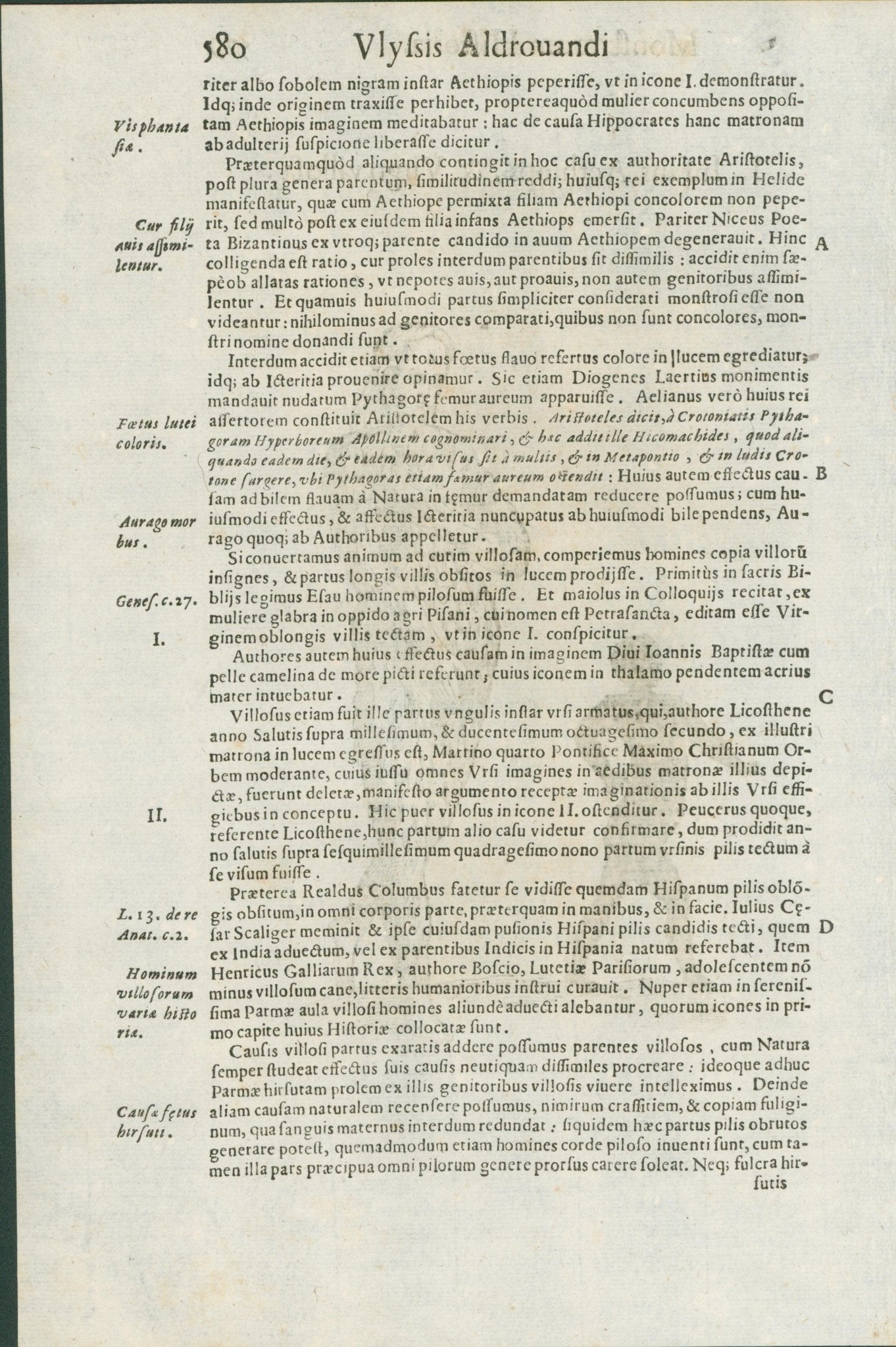 Aldrovandi — Seven Folio Leaves of Human Deformities and Monstrosities from the Monstrorum Historia, Bologna 1640 - Lumenrare Antique Prints & Maps