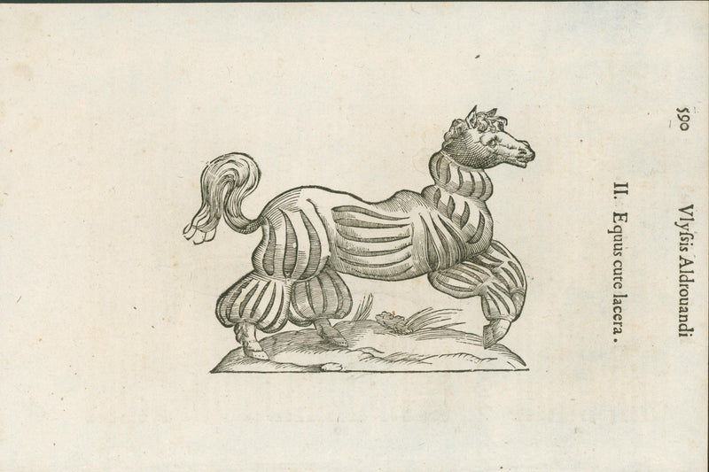 Aldrovandi — Seven Folio Leaves of Human Deformities and Monstrosities from the Monstrorum Historia, Bologna 1640 - Lumenrare Antique Prints & Maps