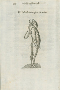 Aldrovandi — Seven Folio Leaves of Human Deformities and Monstrosities from the Monstrorum Historia, Bologna 1640 - Lumenrare Antique Prints & Maps