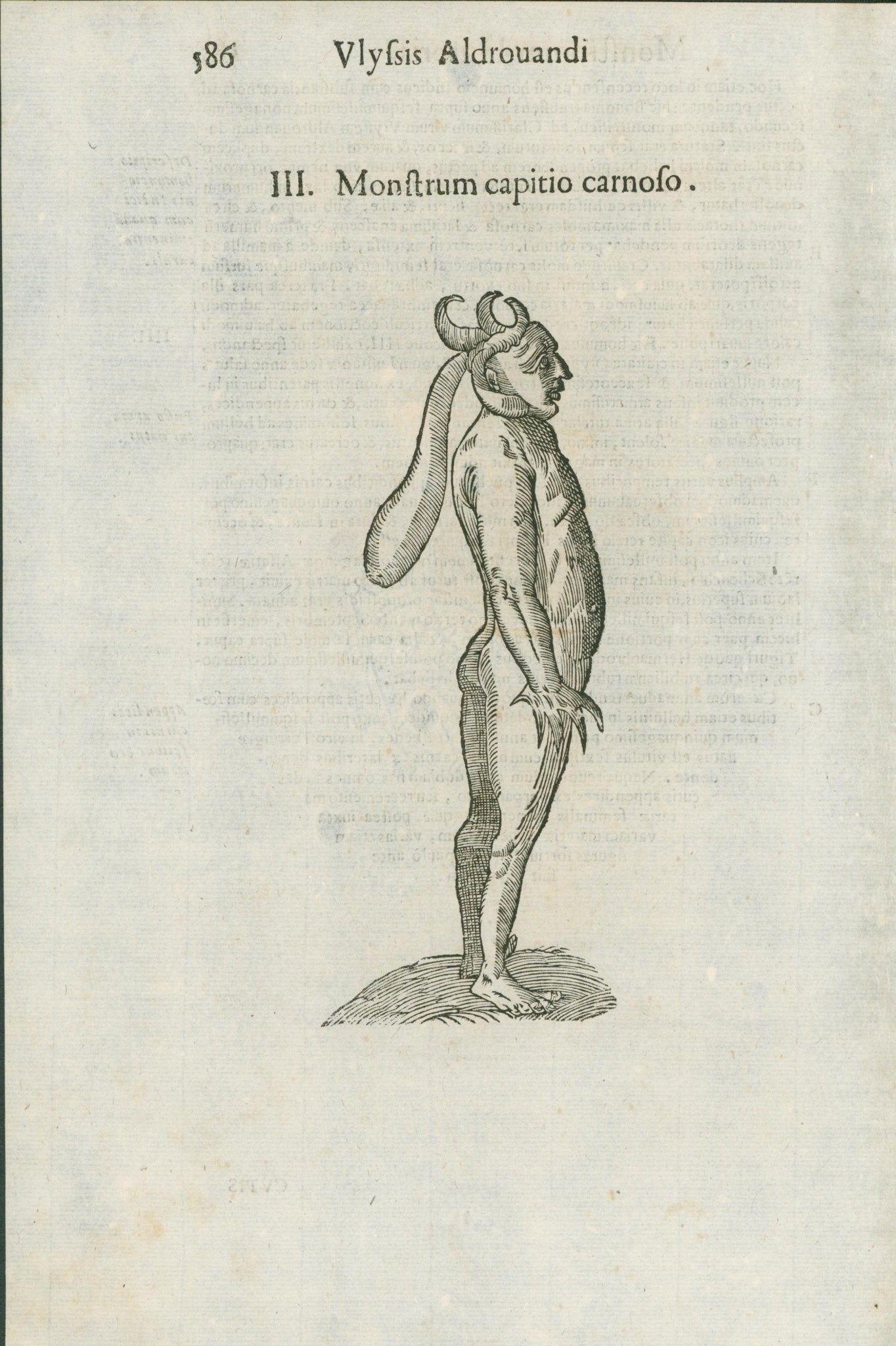 Aldrovandi — Seven Folio Leaves of Human Deformities and Monstrosities from the Monstrorum Historia, Bologna 1640 - Lumenrare Antique Prints & Maps