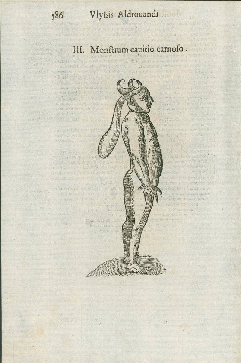 Aldrovandi — Seven Folio Leaves of Human Deformities and Monstrosities from the Monstrorum Historia, Bologna 1640 - Lumenrare Antique Prints & Maps