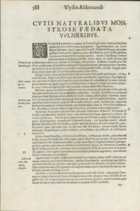 Aldrovandi — Seven Folio Leaves of Human Deformities and Monstrosities from the Monstrorum Historia, Bologna 1640 - Lumenrare Antique Prints & Maps