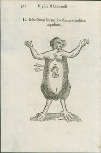 Aldrovandi — Seven Folio Leaves of Human Deformities and Monstrosities from the Monstrorum Historia, Bologna 1640 - Lumenrare Antique Prints & Maps
