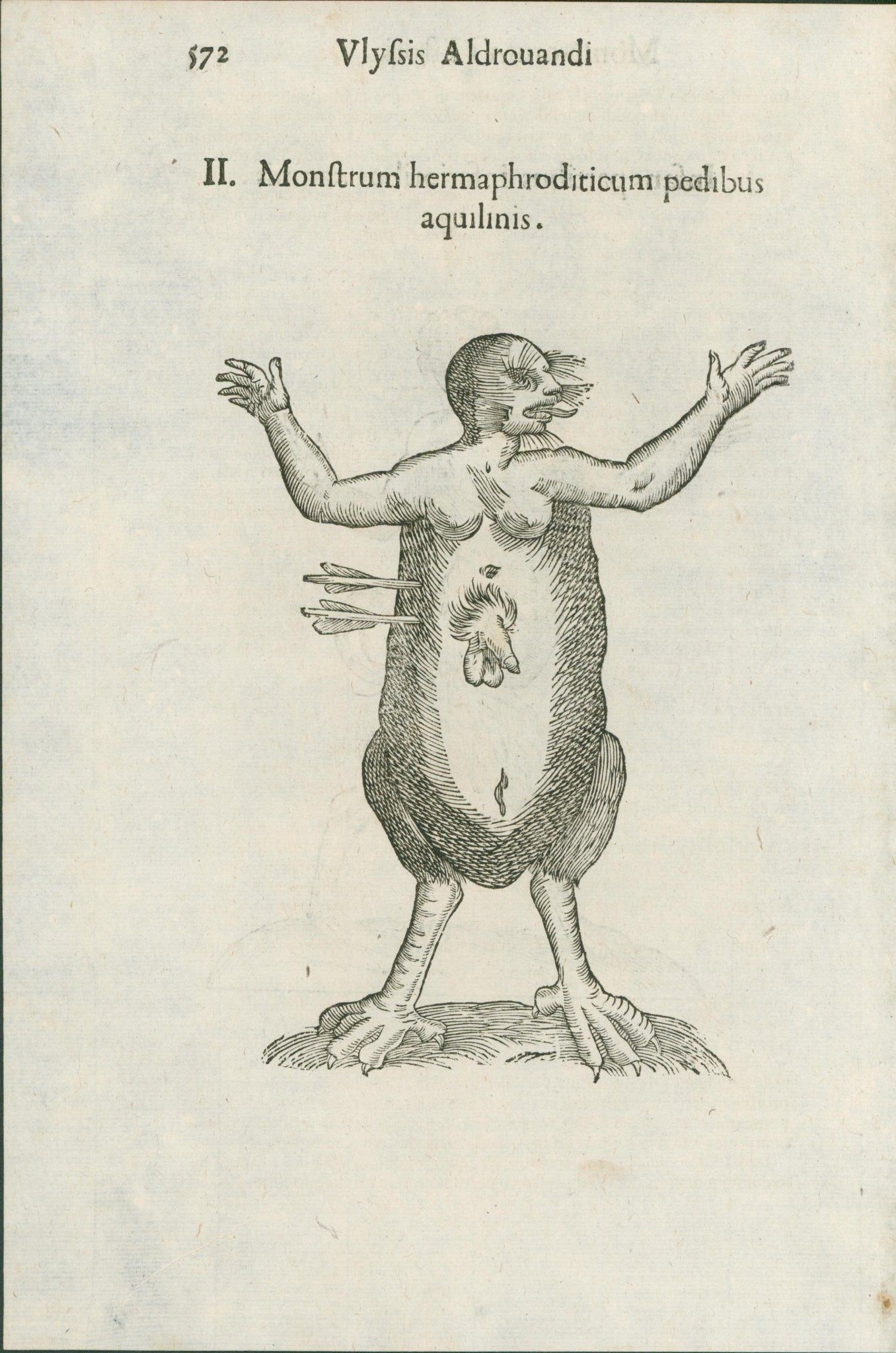 Aldrovandi — Seven Folio Leaves of Human Deformities and Monstrosities from the Monstrorum Historia, Bologna 1640 - Lumenrare Antique Prints & Maps