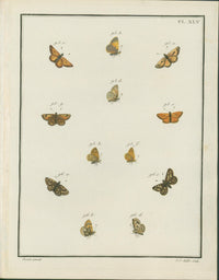 Jacques Louis Engramelle, Skipper and Copper Butterflies (Lycaenidae & Hesperiidae), c1779 to 1792 (Copy) - Lumenrare Antique Prints & Maps