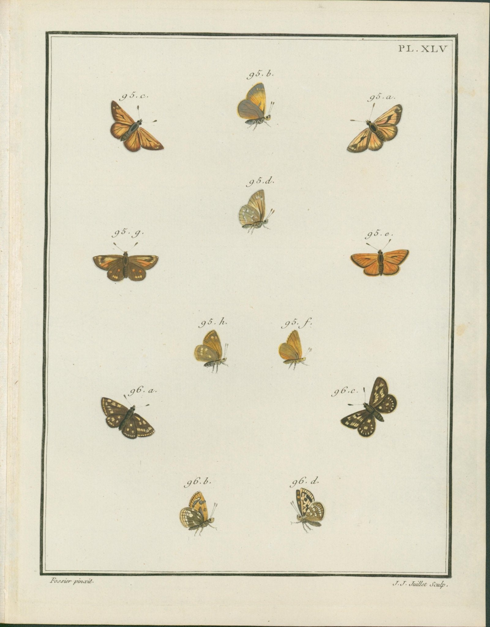 Jacques Louis Engramelle, Skipper and Copper Butterflies (Lycaenidae & Hesperiidae), c1779 to 1792 (Copy) - Lumenrare Antique Prints & Maps