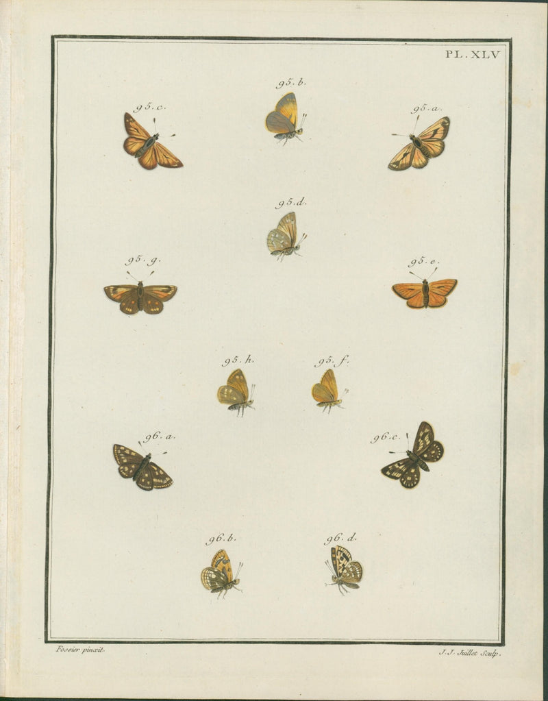 Jacques Louis Engramelle, Skipper and Copper Butterflies (Lycaenidae & Hesperiidae), c1779 to 1792 (Copy) - Lumenrare Antique Prints & Maps