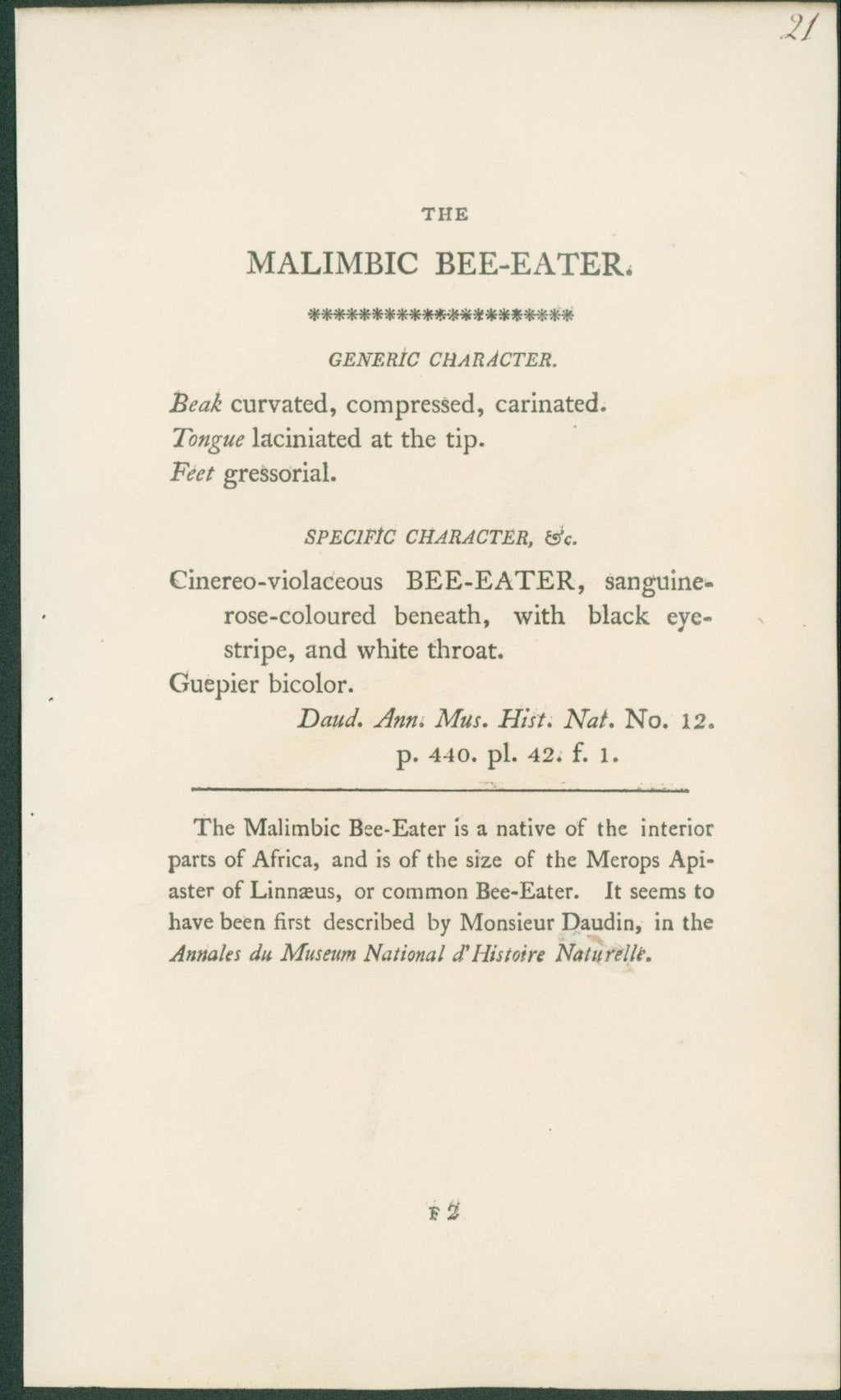 Malimbic Bee - Eater - Shaw & Nodder - 1799 - Lumenrare Antique Prints & Maps