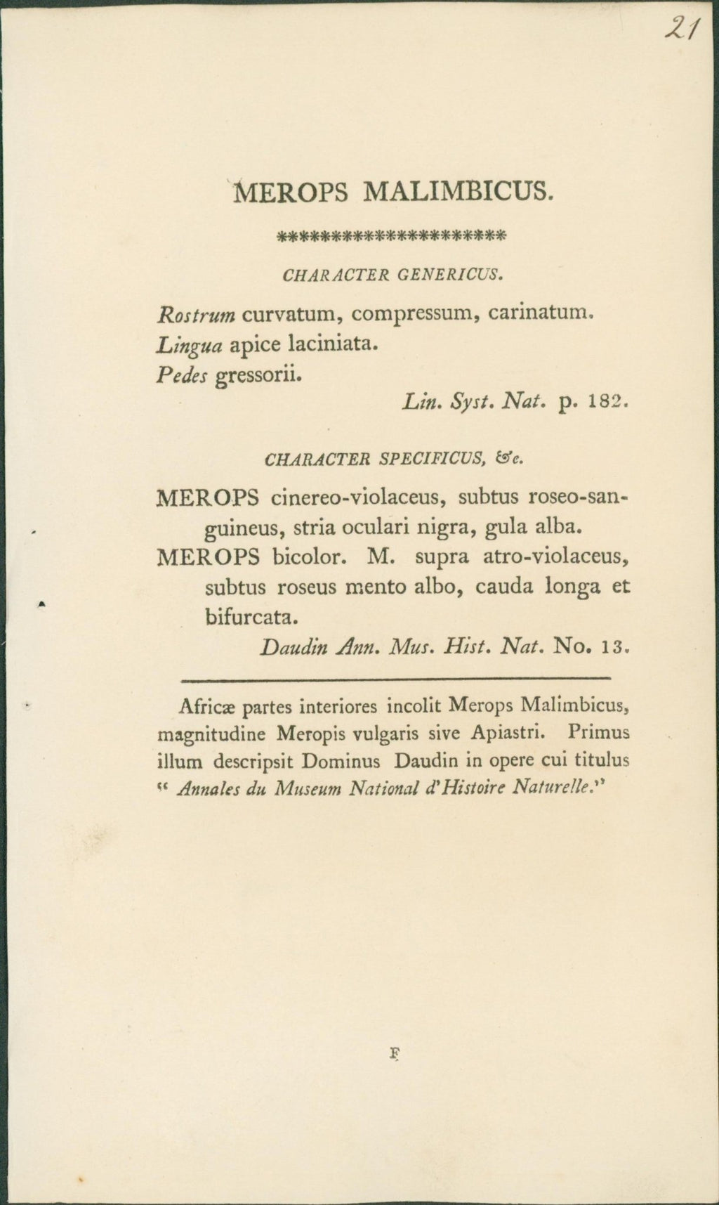 Malimbic Bee - Eater - Shaw & Nodder - 1799 - Lumenrare Antique Prints & Maps