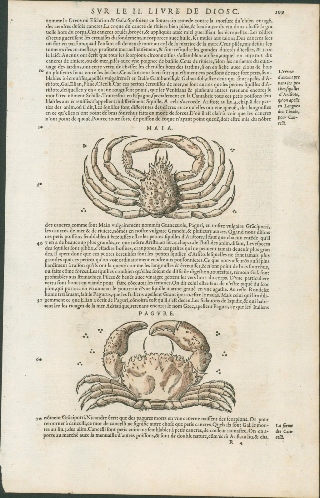 Matthioli’s Marine Zoology Set 10 - Page Suite (Lyon, 1572) - Lumenrare Antique Prints & Maps