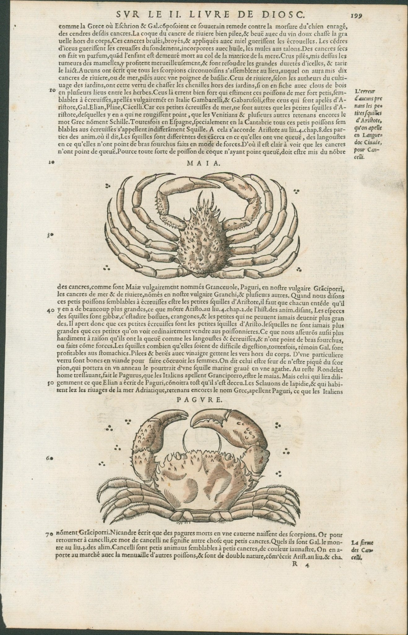 Matthioli’s Marine Zoology Set 10 - Page Suite (Lyon, 1572) - Lumenrare Antique Prints & Maps