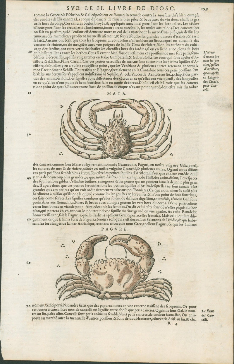 Matthioli’s Marine Zoology Set 10 - Page Suite (Lyon, 1572) - Lumenrare Antique Prints & Maps