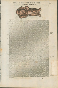 Matthioli’s Marine Zoology Set 10 - Page Suite (Lyon, 1572) - Lumenrare Antique Prints & Maps