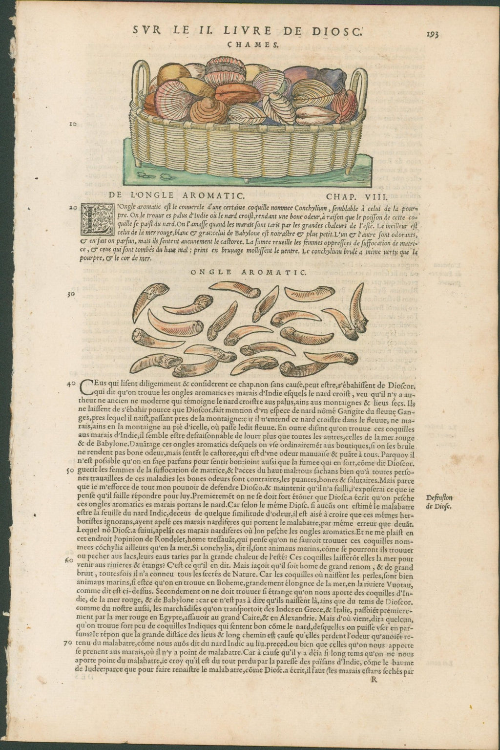 Matthioli’s Marine Zoology Set 10 - Page Suite (Lyon, 1572) - Lumenrare Antique Prints & Maps