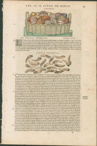 Matthioli’s Marine Zoology Set 10 - Page Suite (Lyon, 1572) - Lumenrare Antique Prints & Maps