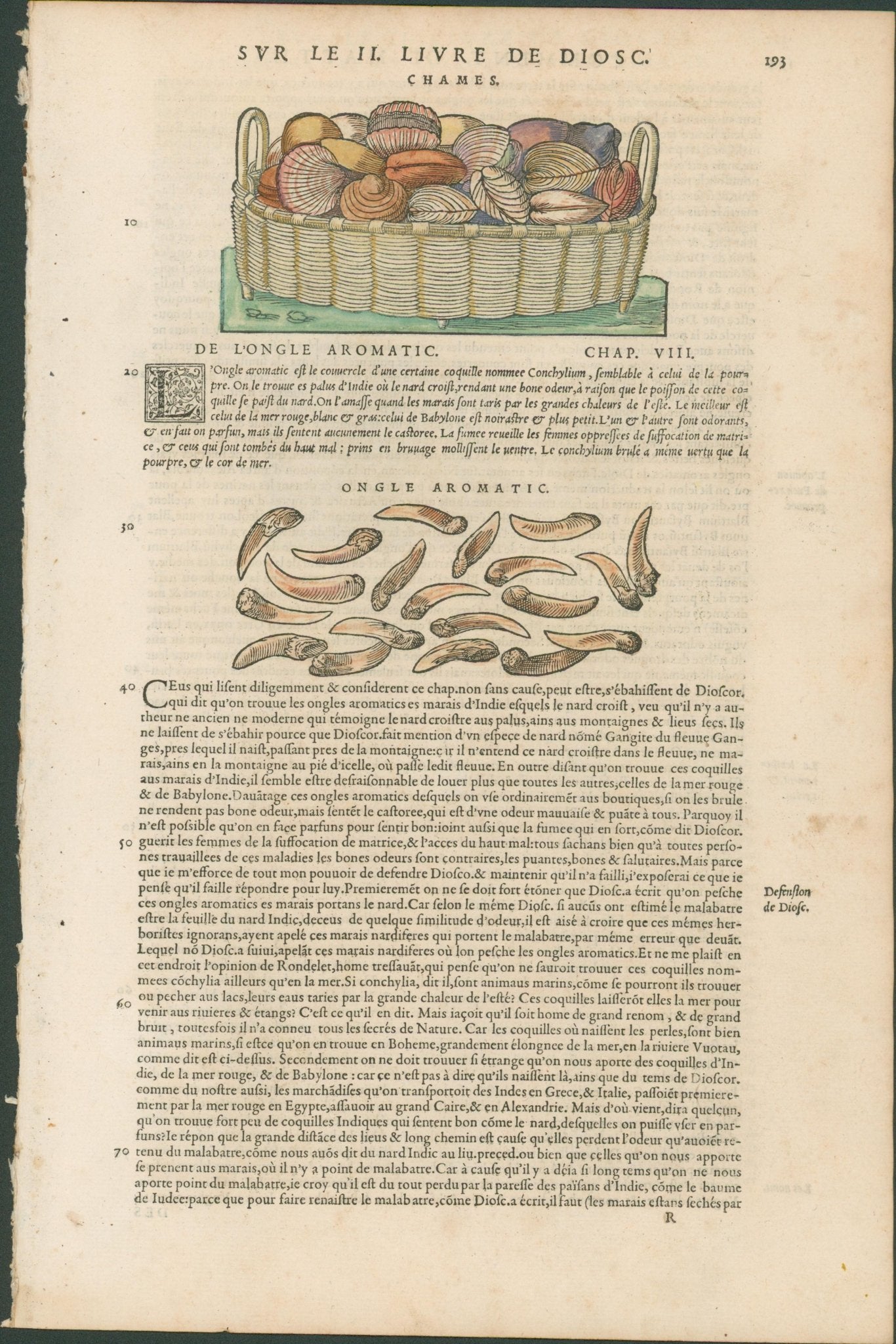 Matthioli’s Marine Zoology Set 10 - Page Suite (Lyon, 1572) - Lumenrare Antique Prints & Maps