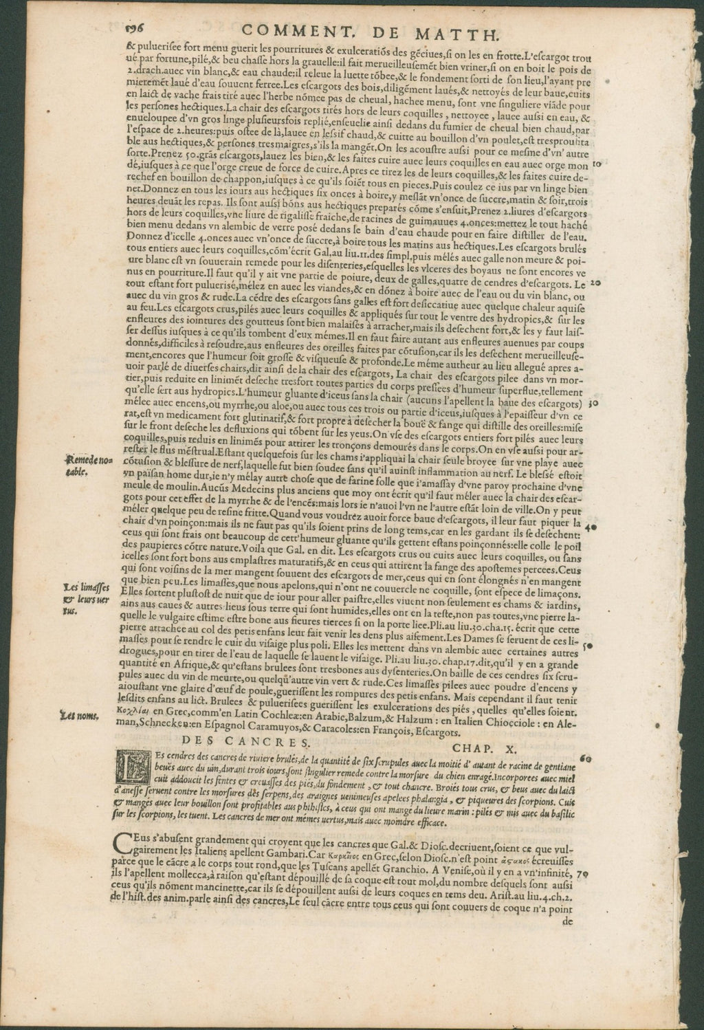 Matthioli’s Marine Zoology Set 10 - Page Suite (Lyon, 1572) - Lumenrare Antique Prints & Maps