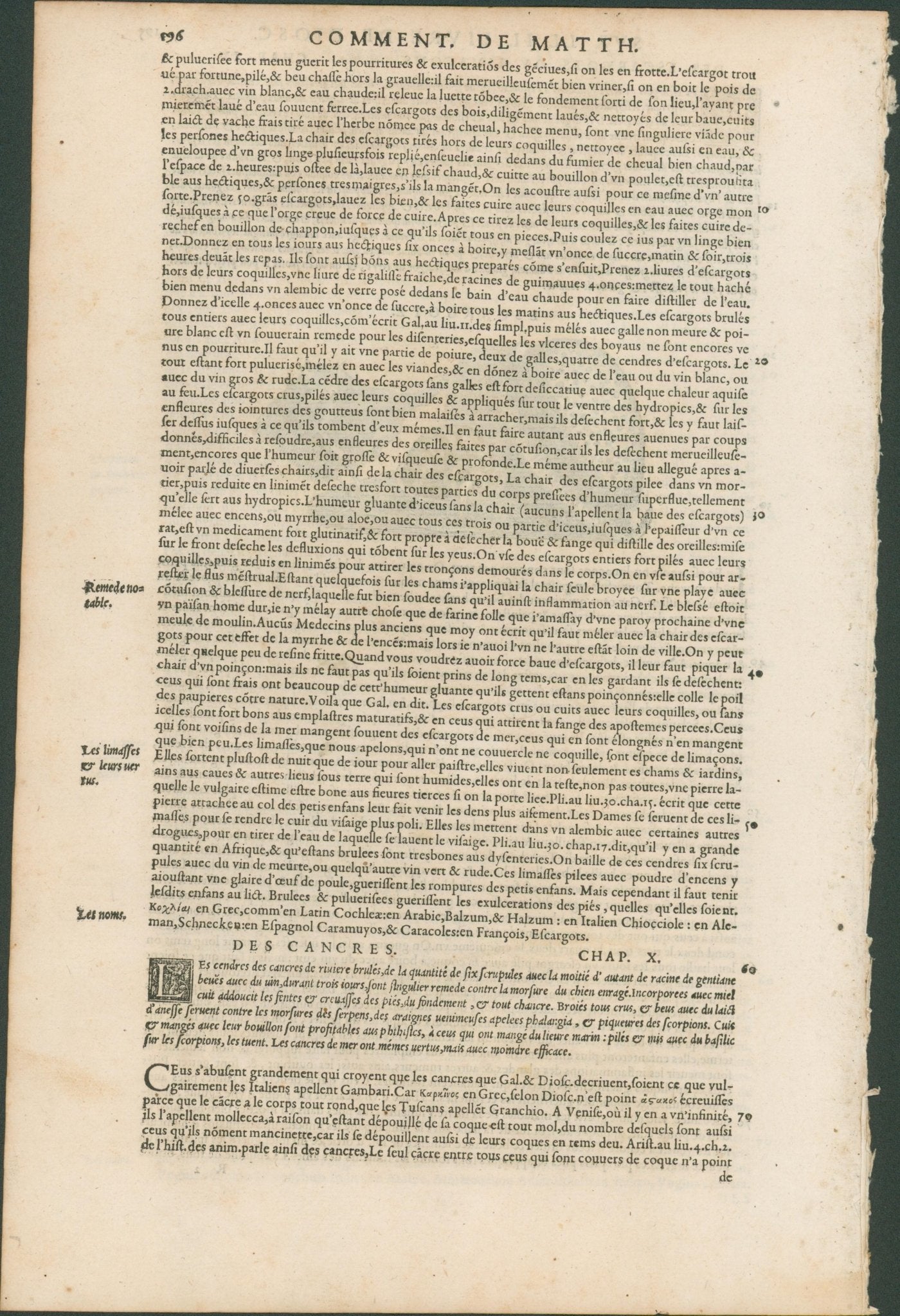Matthioli’s Marine Zoology Set 10 - Page Suite (Lyon, 1572) - Lumenrare Antique Prints & Maps