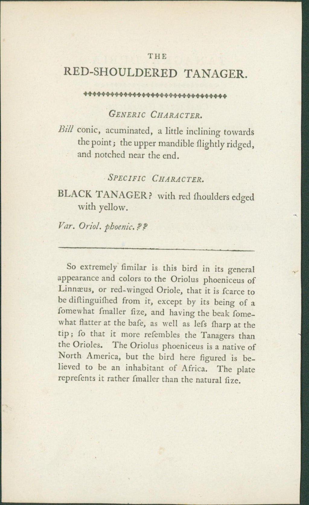 Red Shouldered Tanager - Shaw & Nodder - 1793 - Lumenrare Antique Prints & Maps