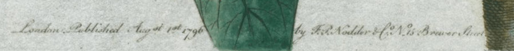 Red Shouldered Tanager - Shaw & Nodder - 1793 - Lumenrare Antique Prints & Maps