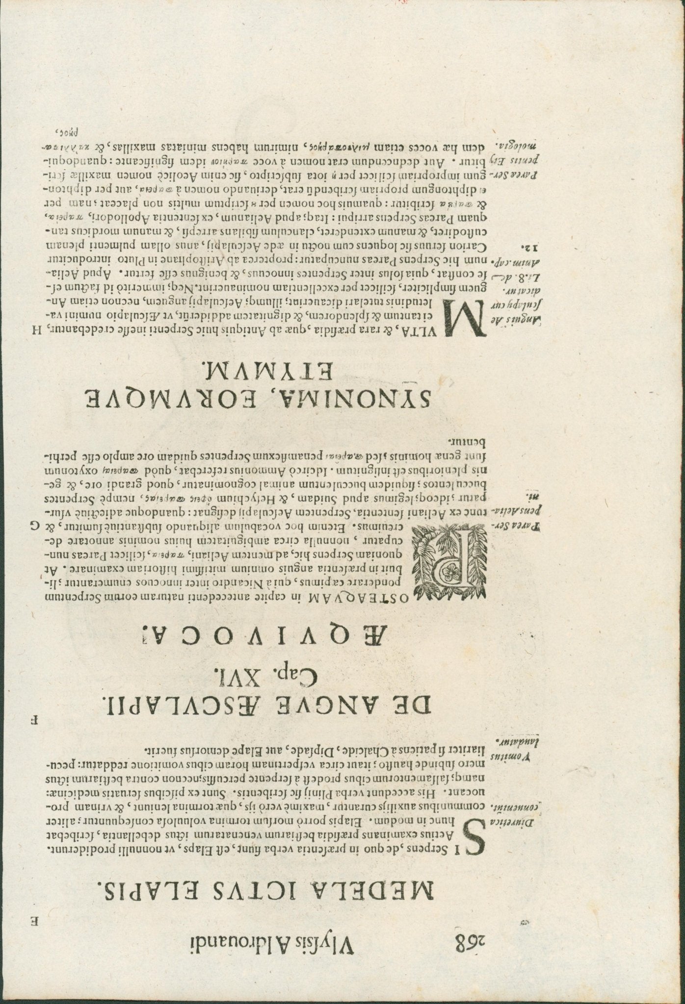Ulysses Aldrovandi’s Serpentum et Draconum Historiae (Bologna, 1640) - Lumenrare Antique Prints & Maps