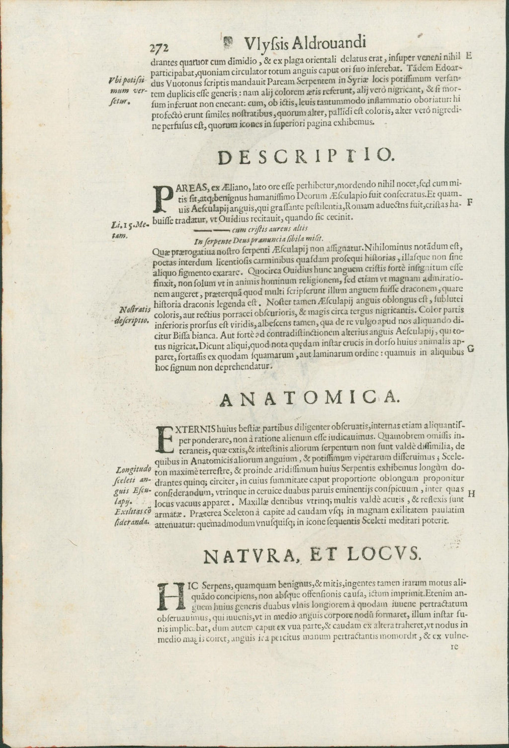 Ulysses Aldrovandi’s Serpentum et Draconum Historiae (Bologna, 1640) - Lumenrare Antique Prints & Maps