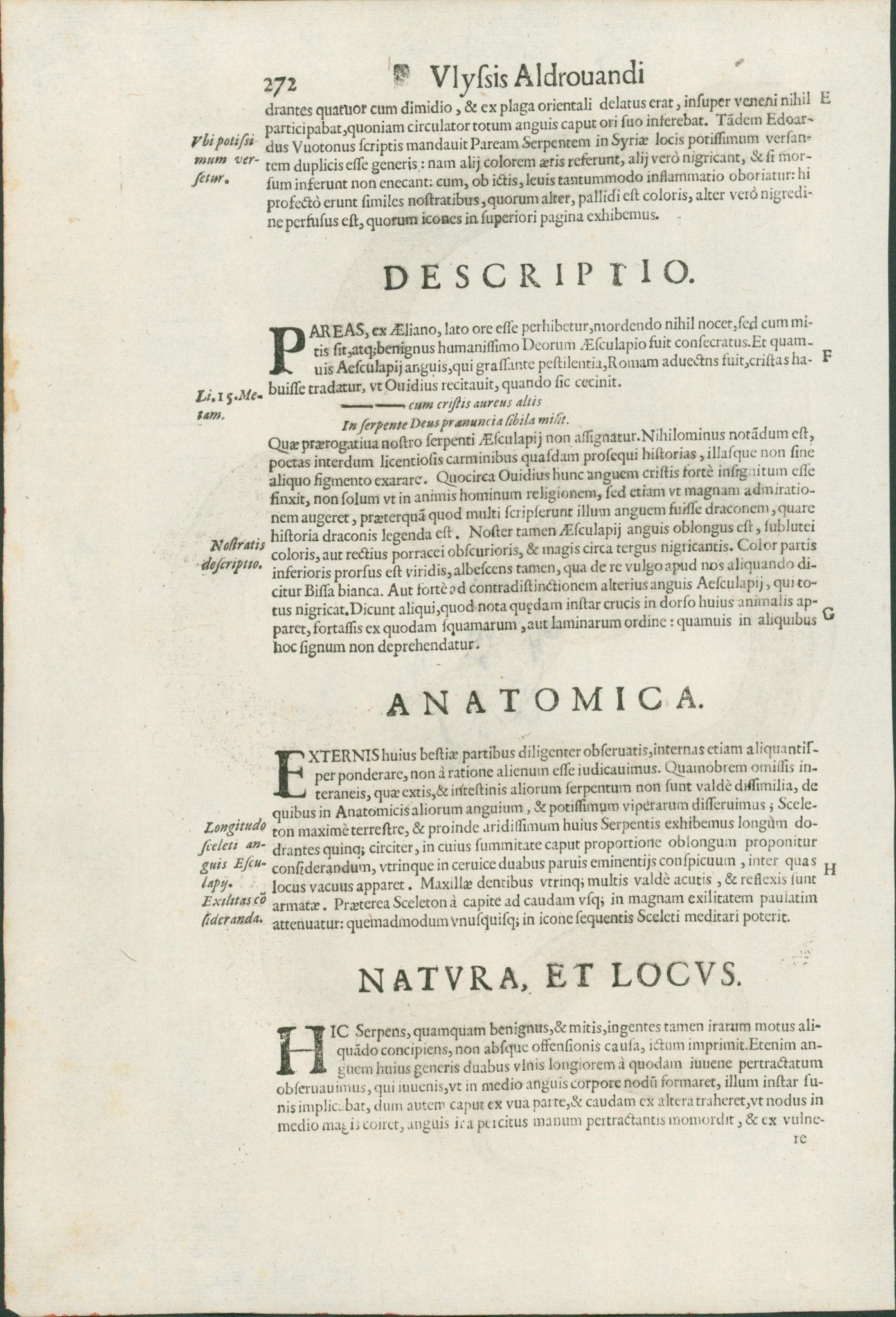 Ulysses Aldrovandi’s Serpentum et Draconum Historiae (Bologna, 1640) - Lumenrare Antique Prints & Maps