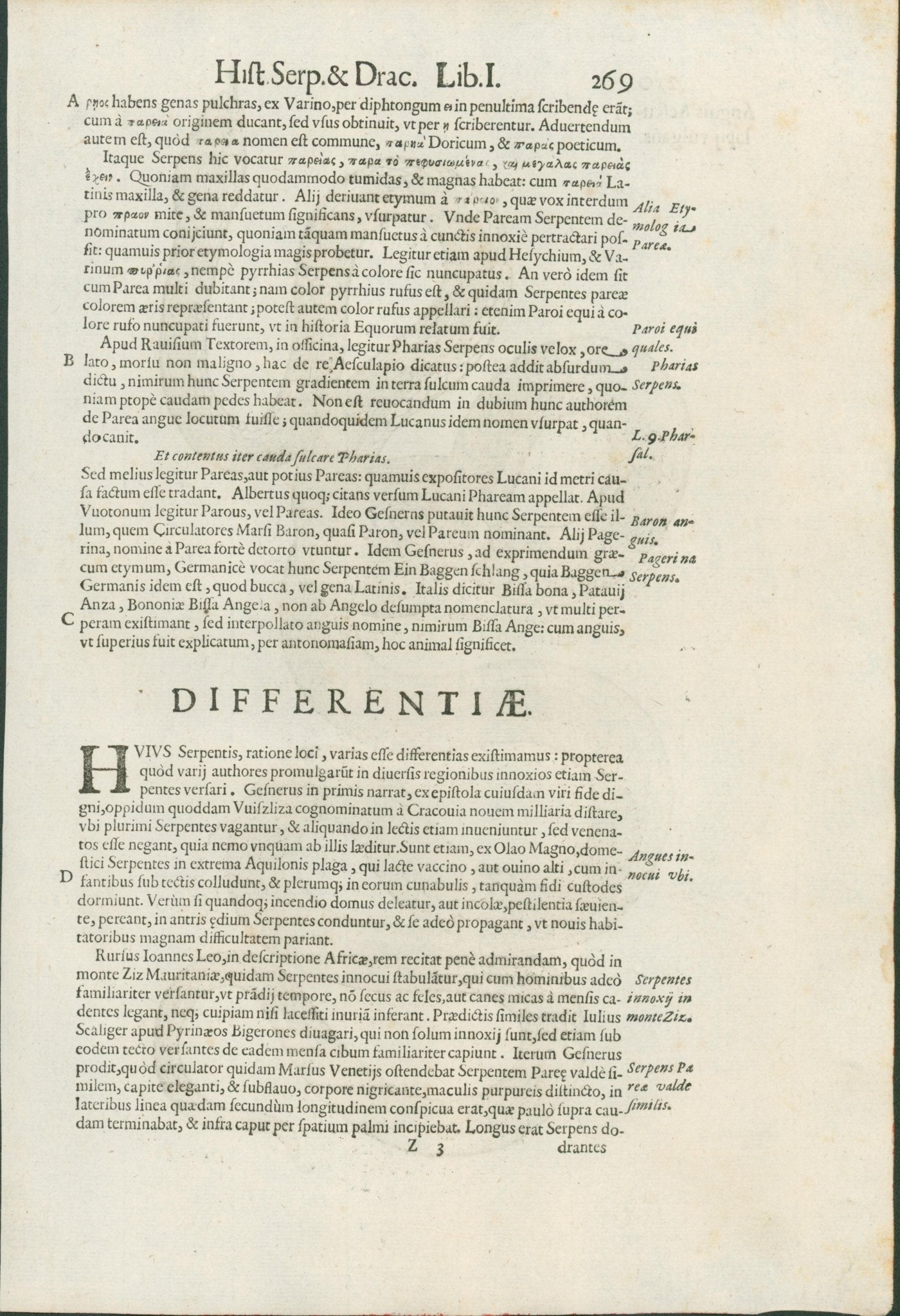 Ulysses Aldrovandi’s Serpentum et Draconum Historiae (Bologna, 1640) - Lumenrare Antique Prints & Maps